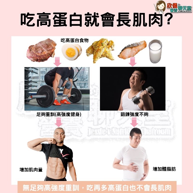 吃高蛋白就會長肌肉?