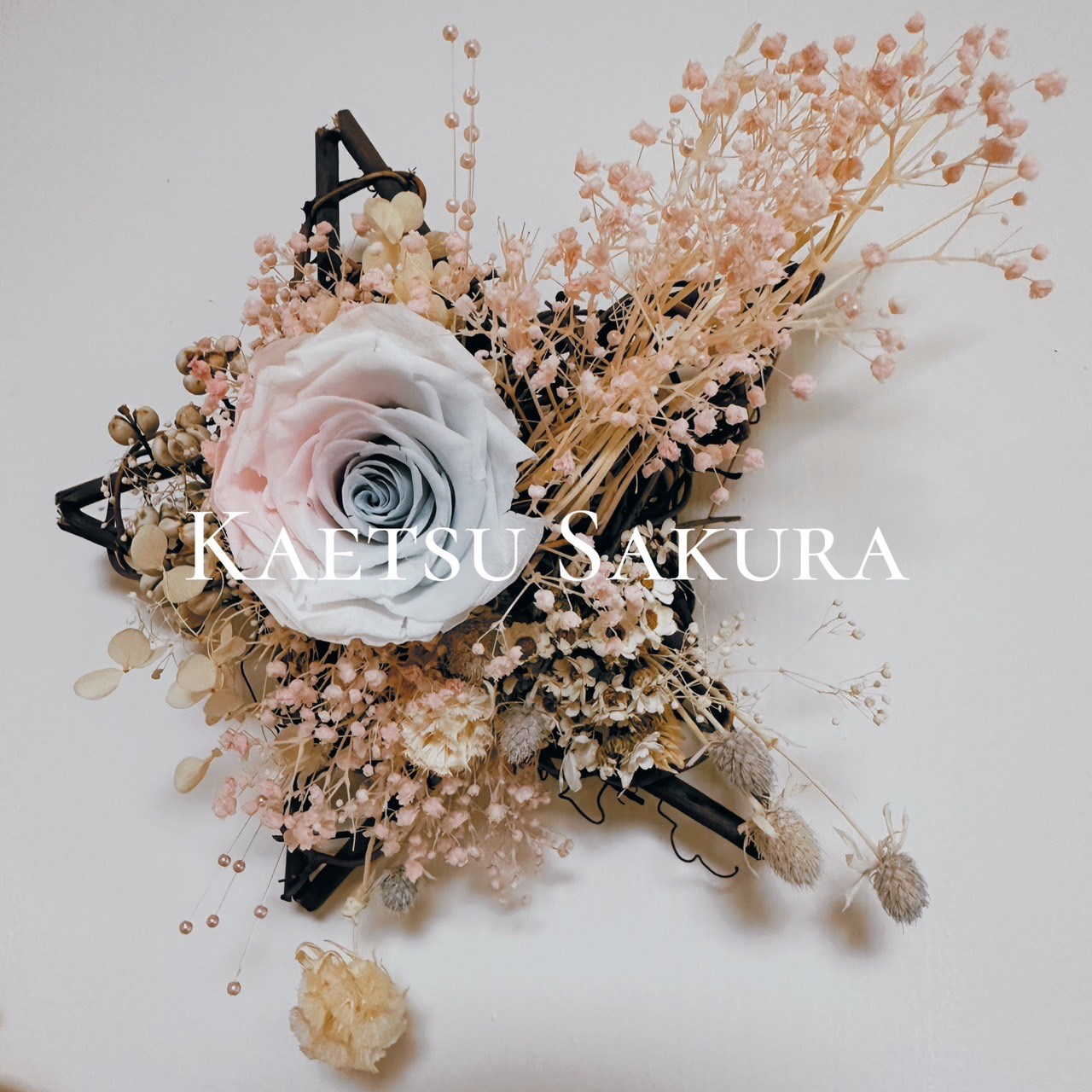 女人知己試用大隊