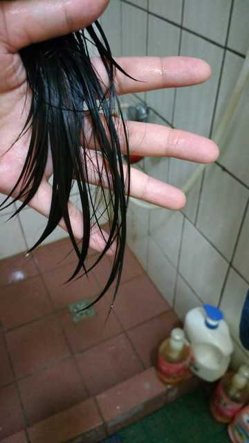 德國草本莊園KRAUTERHOF咖啡因健髮洗髮精