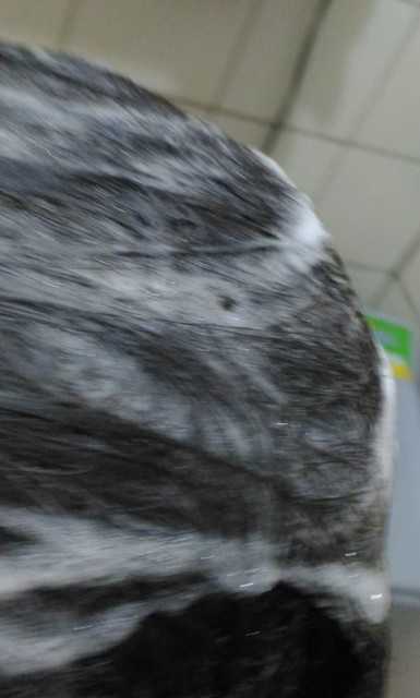 德國草本莊園KRAUTERHOF咖啡因健髮洗髮精