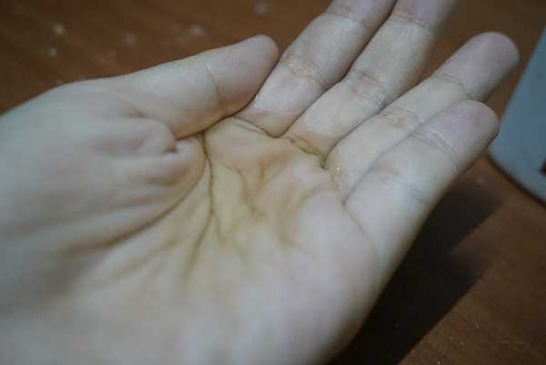 14599694_1263996973652447_1890021110_o