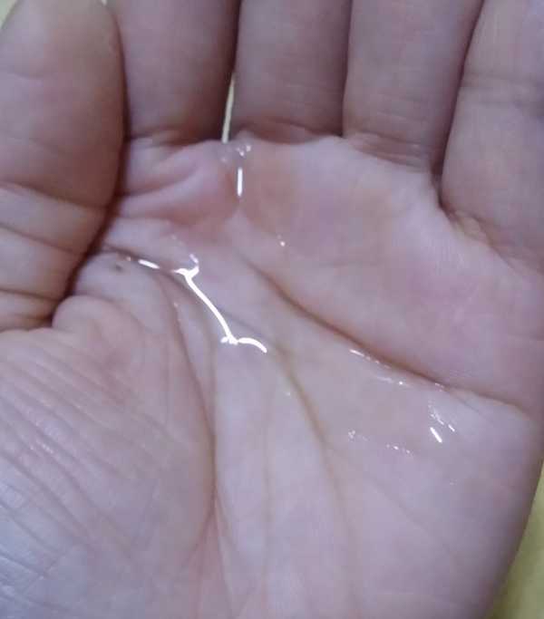 德國草本莊園KRAUTERHOF咖啡因健髮洗髮精