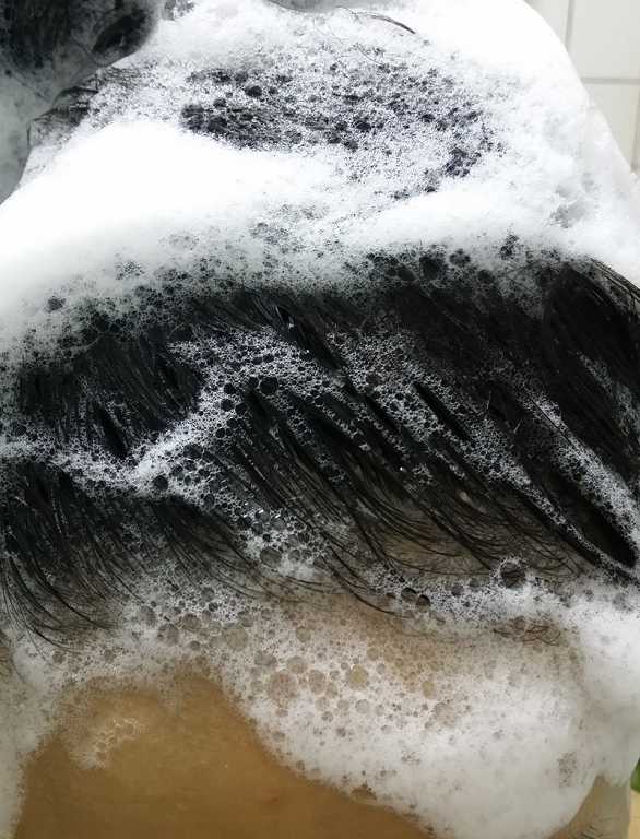 德國草本莊園KRAUTERHOF咖啡因健髮洗髮精