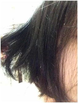 德國草本莊園KRAUTERHOF咖啡因健髮洗髮精