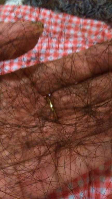 德國草本莊園KRAUTERHOF咖啡因健髮洗髮精