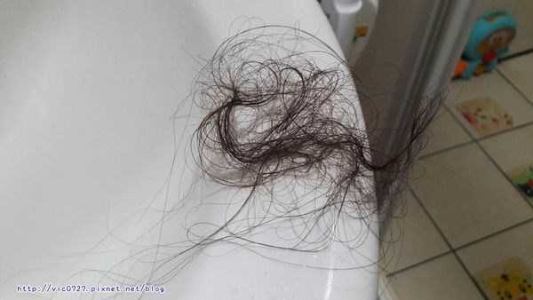 德國草本莊園KRAUTERHOF咖啡因健髮洗髮精