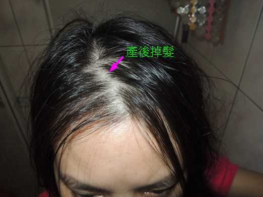 德國草本莊園KRAUTERHOF咖啡因健髮洗髮精