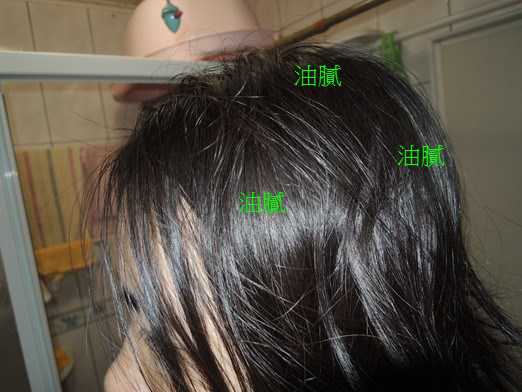 德國草本莊園KRAUTERHOF咖啡因健髮洗髮精