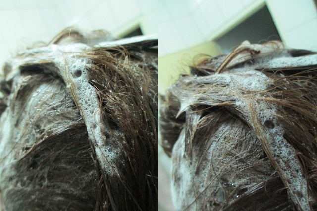 德國草本莊園KRAUTERHOF咖啡因健髮洗髮精