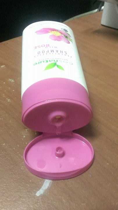 14805488_1280053088713502_1971506871_n