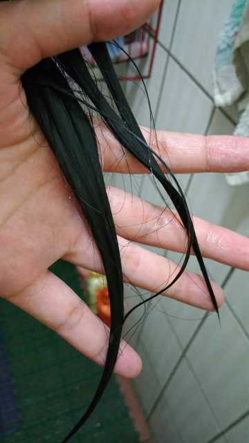 CosNature有機洗髮精