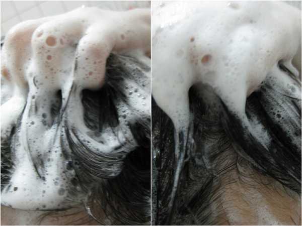 CosNature有機洗髮精