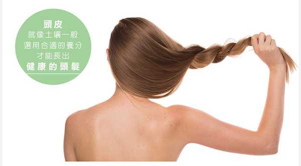 CosNature有機洗髮精