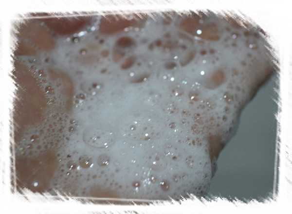 CosNature有機洗髮精