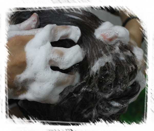 CosNature有機洗髮精