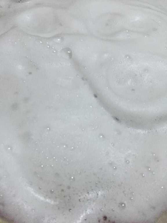 CosNature有機洗髮精