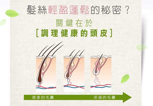 CosNature有機洗髮精