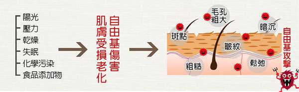 CosNature有機紅石榴霜