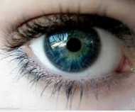 CosNature有機紅石榴緊緻拉提眼霜