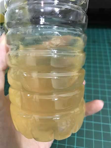 一定有酵檸檬酵素