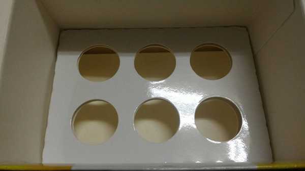 一定有酵檸檬酵素