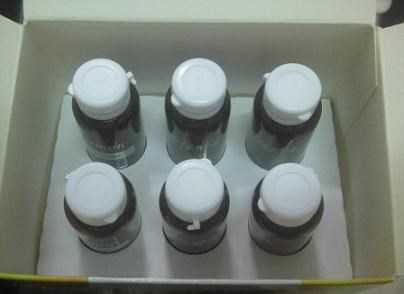 一定有酵檸檬酵素