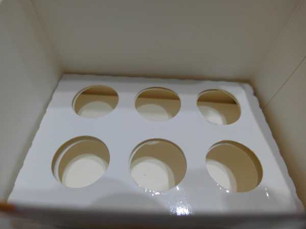 一定有酵檸檬酵素