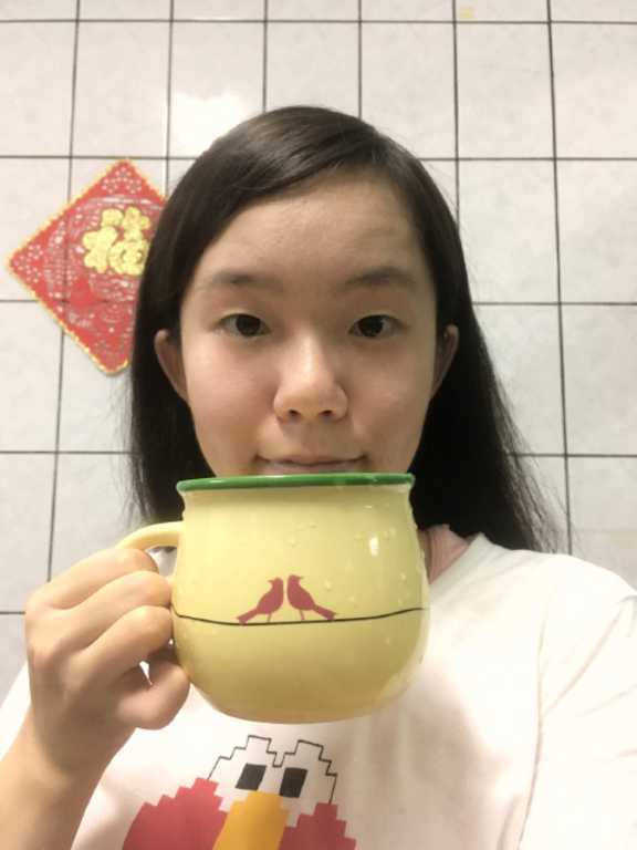 簡單有酵梅子錠