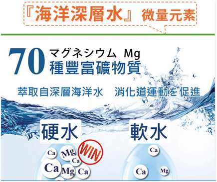 簡單有酵梅子錠