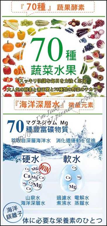 簡單有酵梅子錠