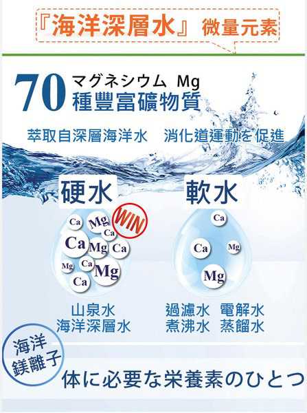 簡單有酵梅子錠