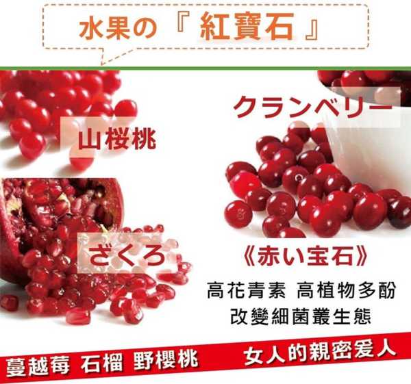 簡單有酵梅子錠