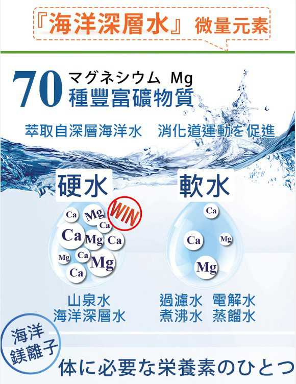 簡單有酵梅子錠