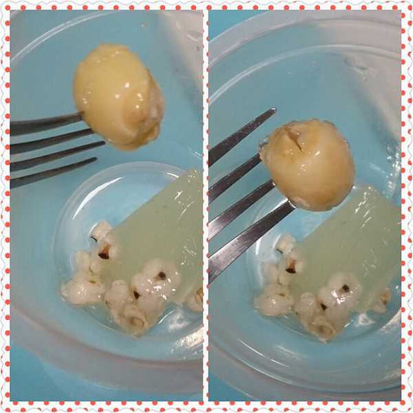 PhotoGrid_1473564127254.jpg - 105/08