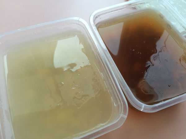 晴媽膠原鱗之凍飲