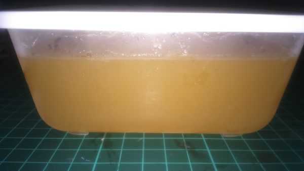 晴媽膠原鱗之凍飲