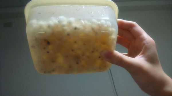 晴媽膠原鱗之凍飲