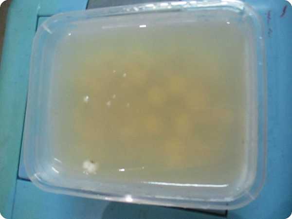 晴媽膠原鱗之凍飲