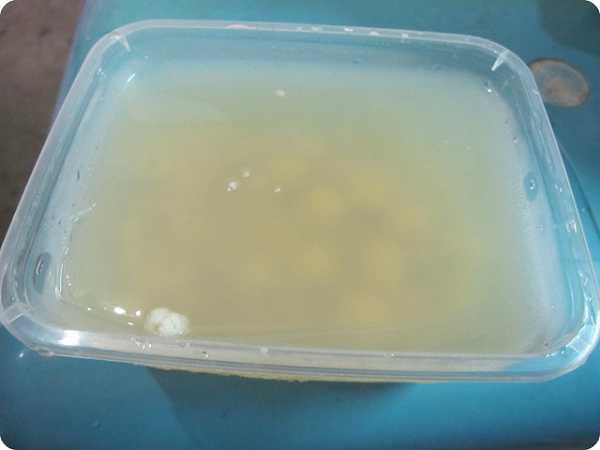 晴媽膠原鱗之凍飲