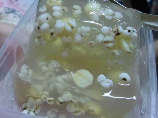 晴媽膠原鱗之凍飲