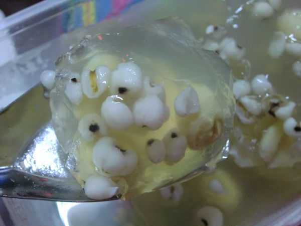 晴媽膠原鱗之凍飲