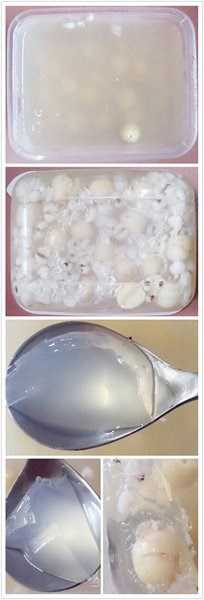 晴媽膠原鱗之凍飲