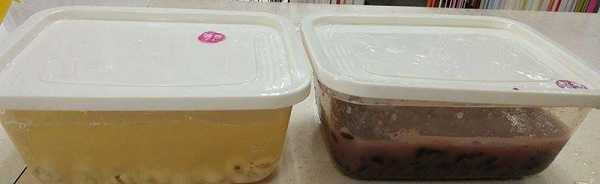 晴媽膠原鱗之凍飲