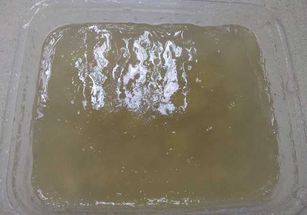 晴媽膠原鱗之凍飲