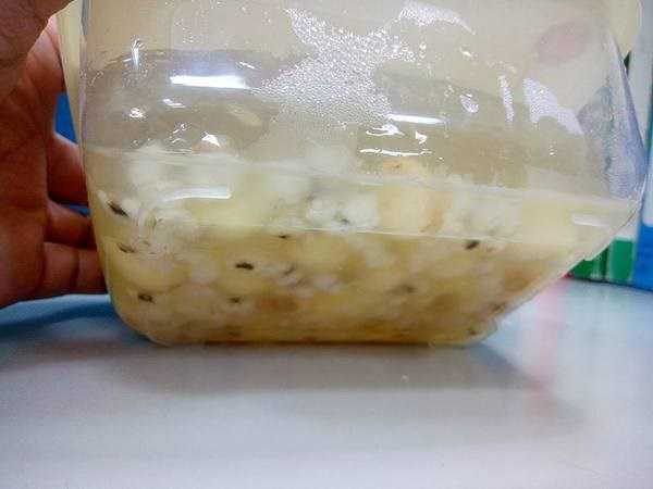 晴媽膠原鱗之凍飲