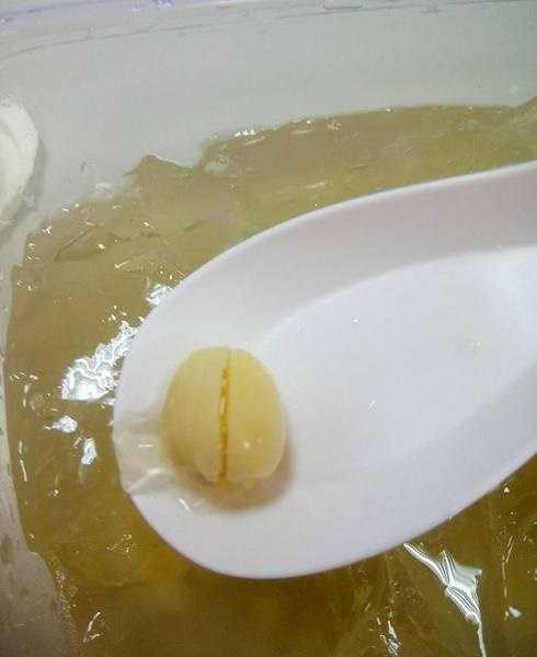 晴媽膠原鱗之凍飲