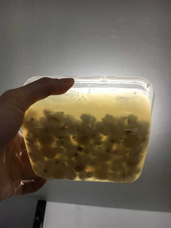 晴媽膠原鱗之凍飲