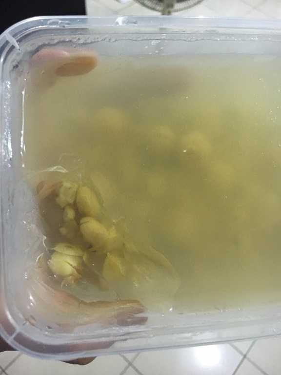 晴媽膠原鱗之凍飲