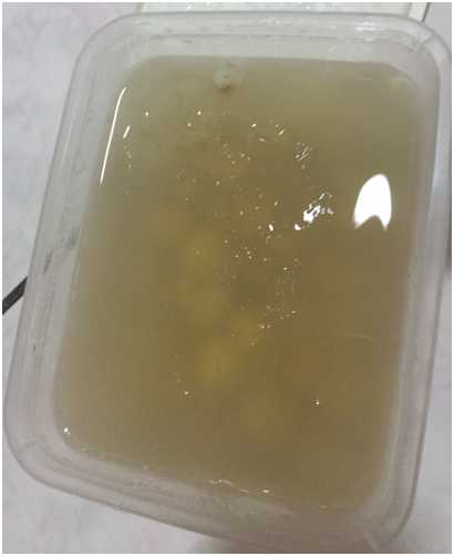 晴媽膠原鱗之凍飲