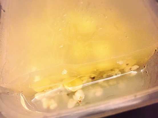 晴媽膠原鱗之凍飲